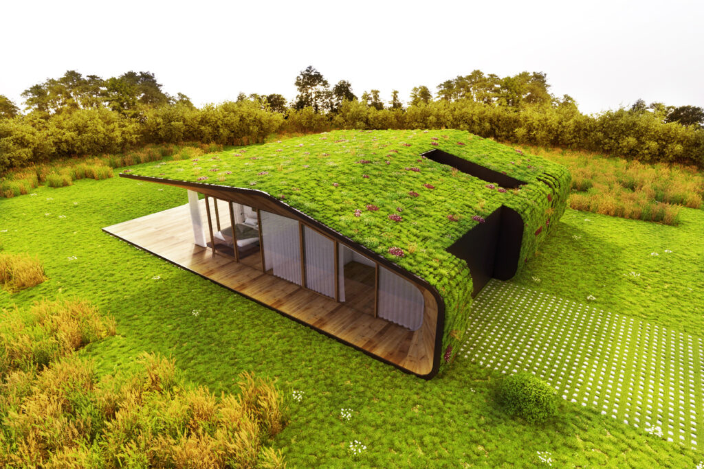 Зеленая кровля