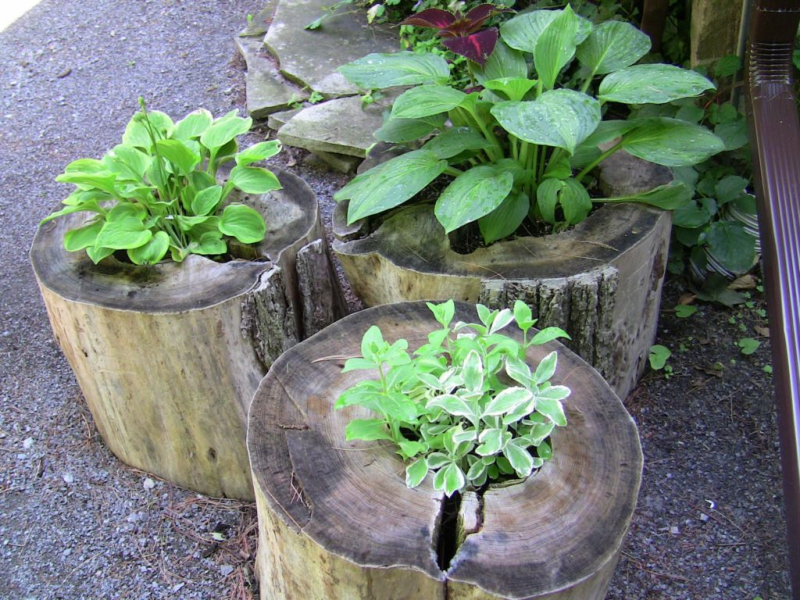 Вазоны для цветов уличные - бетонные, керамические, деревянные, каменные. Советы по использованию. Фото.